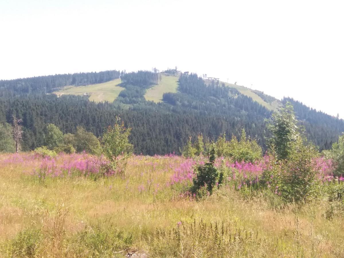 Apartmán Abertamy Krušné hory Esterno foto